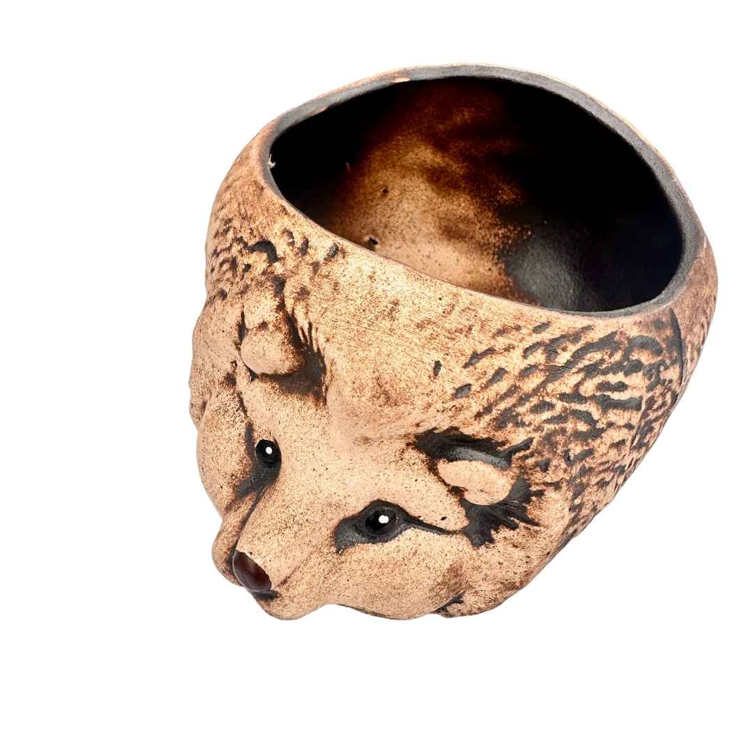 Detailní pohled na ježka Bodlinku